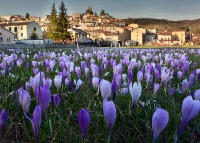 Casetta Del Rione * Рокка-ди-Меццо